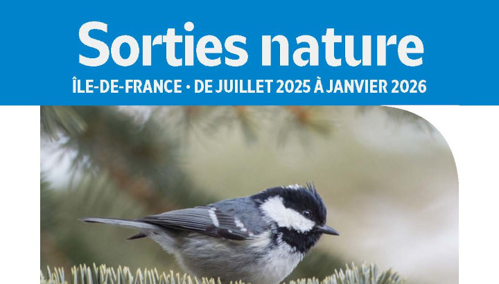 Le nouveau programme des sorties de la LPO Île-de-France est disponible !